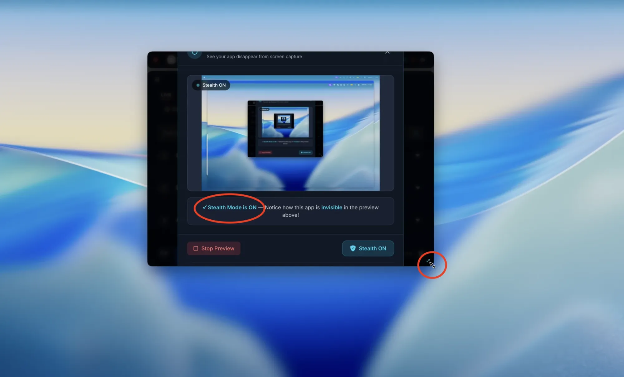 LockedIn AI cursor tell during screen sharing, from a July 2026 third-party macOS test